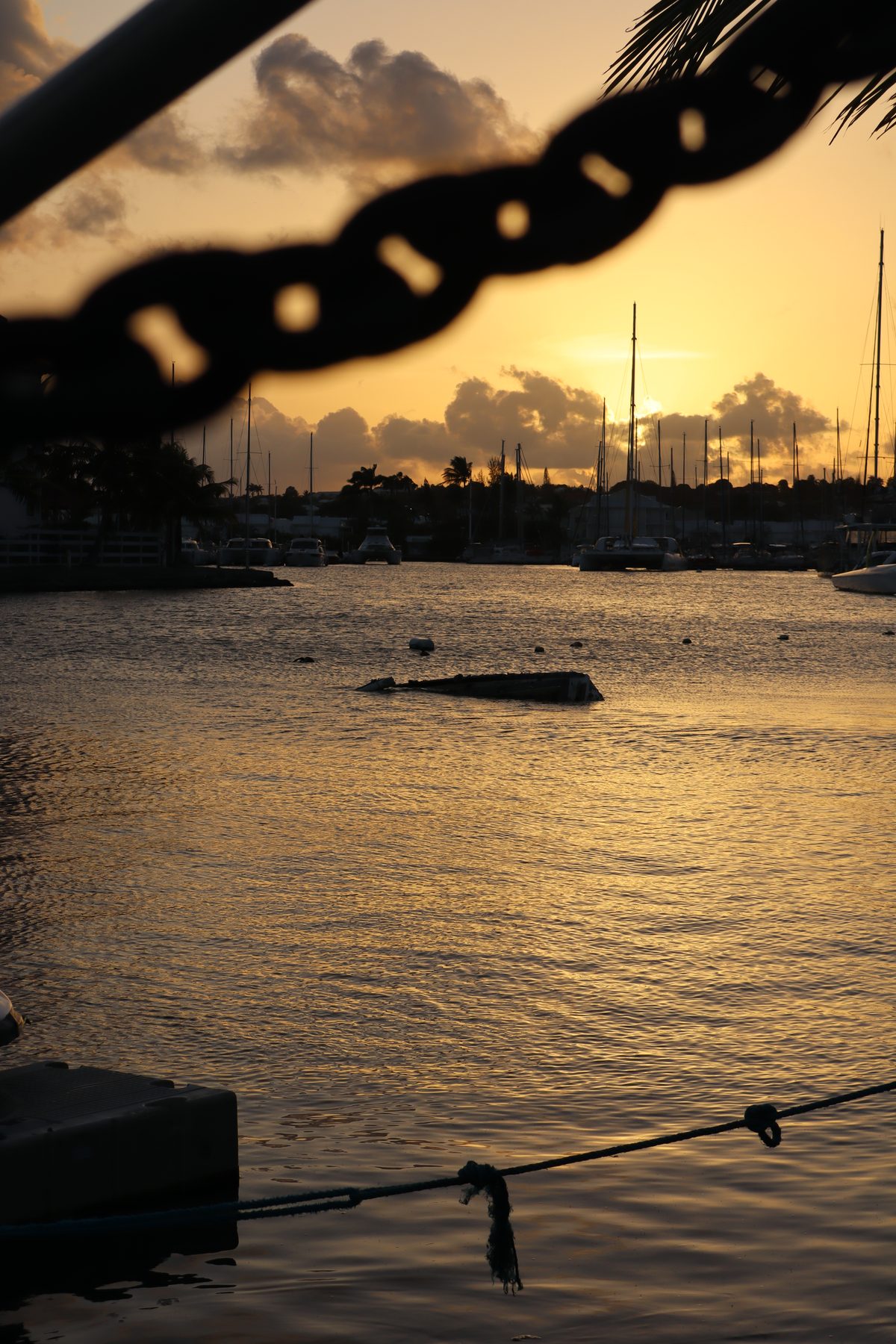 Photograph 5