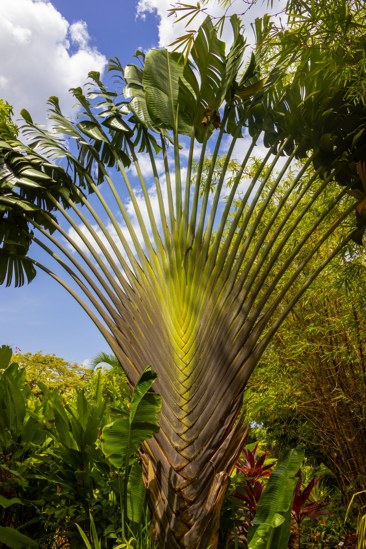Photograph 9