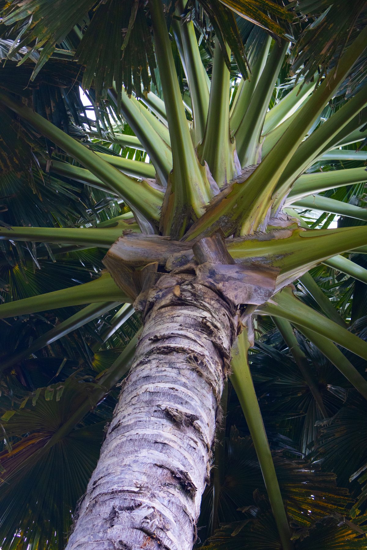 Photograph 14