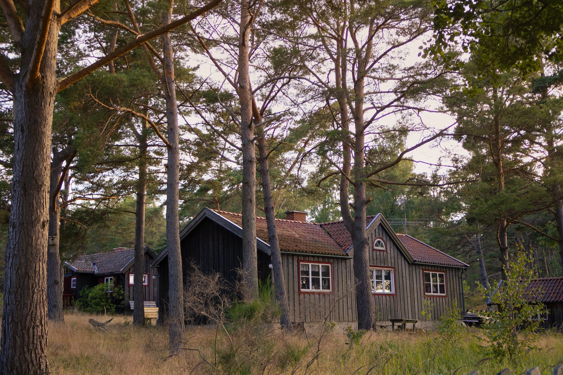 Photograph 29